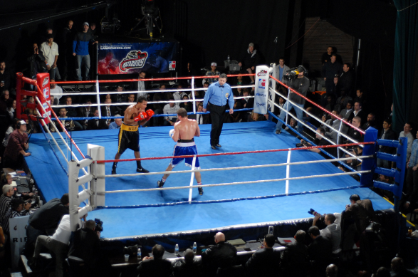 boxing fight in the ring